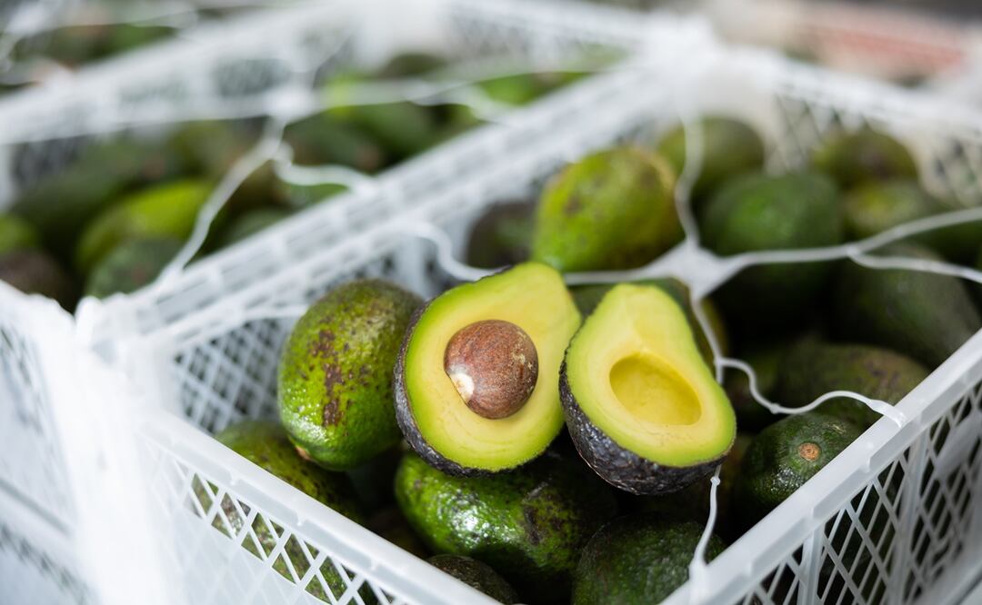 Jalisco enviará a Estados Unidos 15 mil 227 toneladas de aguacate para el Super Bowl 2024. Foto: iStock-JackF
