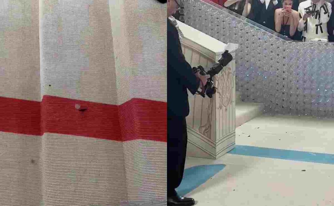 La cucaracha desfiló como decentas de celebridades en Met Gala 2023. Foto tomada de video