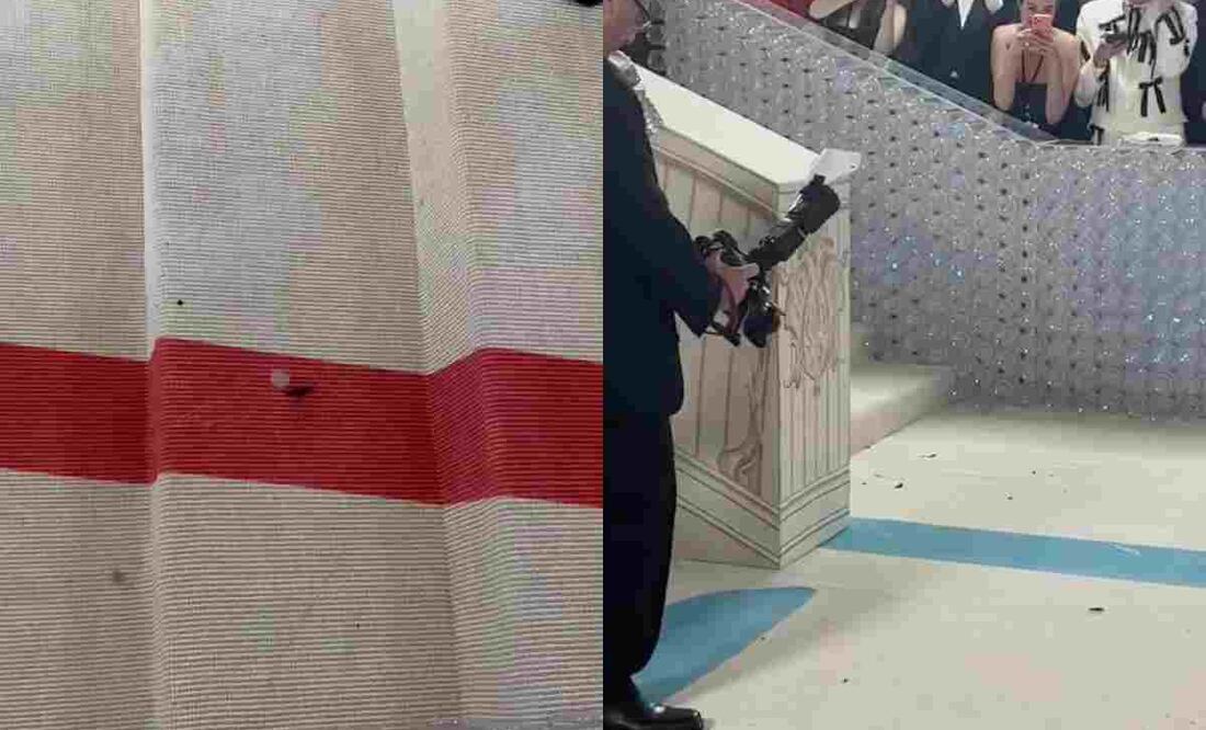 La cucaracha desfiló como decentas de celebridades en Met Gala 2023. Foto tomada de video