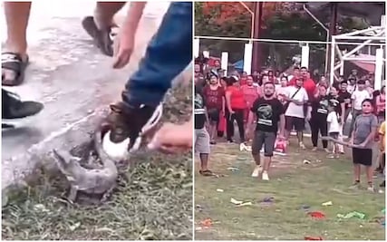 Indignación en Campeche: niños rompen piñatas con animales vivos dentro en 'fiesta tradicional'. VIDEO