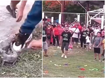 Indignación en Campeche: niños rompen piñatas con animales vivos dentro en 'fiesta tradicional'. VIDEO