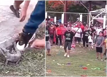 Indignación en Campeche: niños rompen piñatas con animales vivos dentro en 'fiesta tradicional'. VIDEO