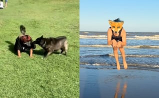 ¿Moda, identidad o confusión? La tendencia Therian que crece entre jóvenes en TikTok