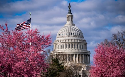 ¿Dónde y cuándo ver el Festival Nacional de los Cerezos 2022?