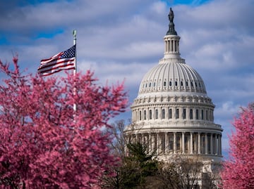 ¿Dónde y cuándo ver el Festival Nacional de los Cerezos 2022?