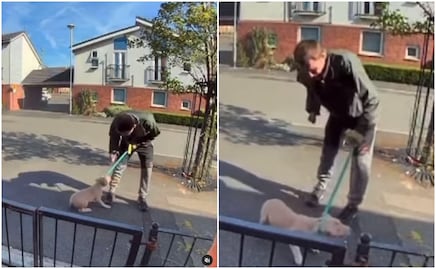 Captan a dueño golpeando brutalmente a su perrito en medio de la calle