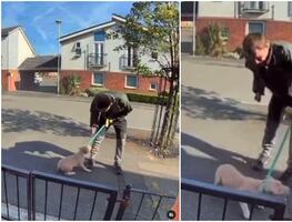 Captan a dueño golpeando brutalmente a su perrito en medio de la calle