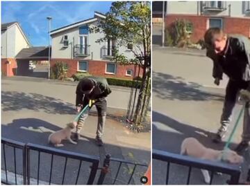 Captan a dueño golpeando brutalmente a su perrito en medio de la calle