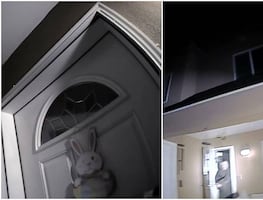 Policías se equivocan y matan a hombre en casa equivocada; revelan video del encuentro