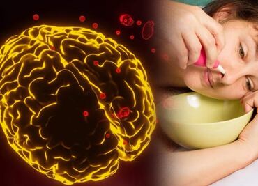 Mueren tres personas por ameba “come cerebros”; se infectaron con agua de la llave