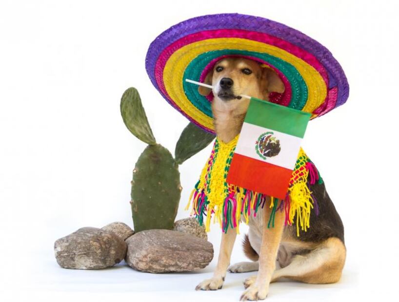 ¡Viva México! 15 frases e imágenes para celebrar la Independencia de México