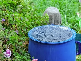 Cosecha de Lluvia CDMX 2024. ¿Es gratis el sistema de captación de agua? Esto debes saber