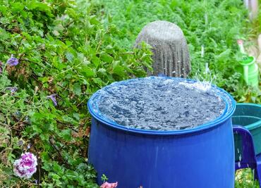Cosecha de Lluvia CDMX 2024. ¿Es gratis el sistema de captación de agua? Esto debes saber