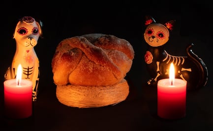 Día de Muertos 2024: ¿Qué día llegan los perritos y mascotas? ¿Qué lleva su ofrenda?