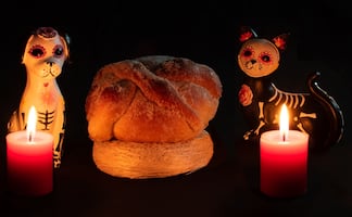 Día de Muertos 2024: ¿Qué día llegan los perritos y mascotas? ¿Qué lleva su ofrenda?