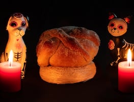 Día de Muertos 2024: ¿Qué día llegan los perritos y mascotas? ¿Qué lleva su ofrenda?