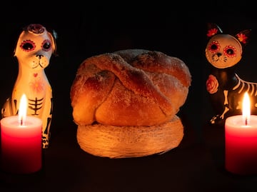 Día de Muertos 2024: ¿Qué día llegan los perritos y mascotas? ¿Qué lleva su ofrenda?