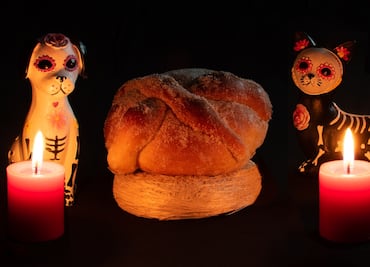 Día de Muertos 2024: ¿Qué día llegan los perritos y mascotas? ¿Qué lleva su ofrenda?