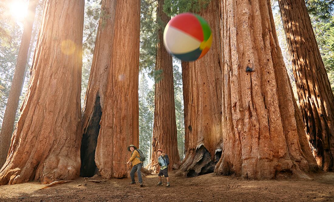 California. Foto: Cortesía Visit California