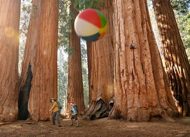 El poder del juego y por qué California es un destino asombroso para la diversión