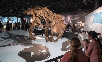 Curiosidades del Museo Americano de Historia Natural de NY