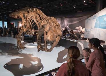 Curiosidades del Museo Americano de Historia Natural de NY