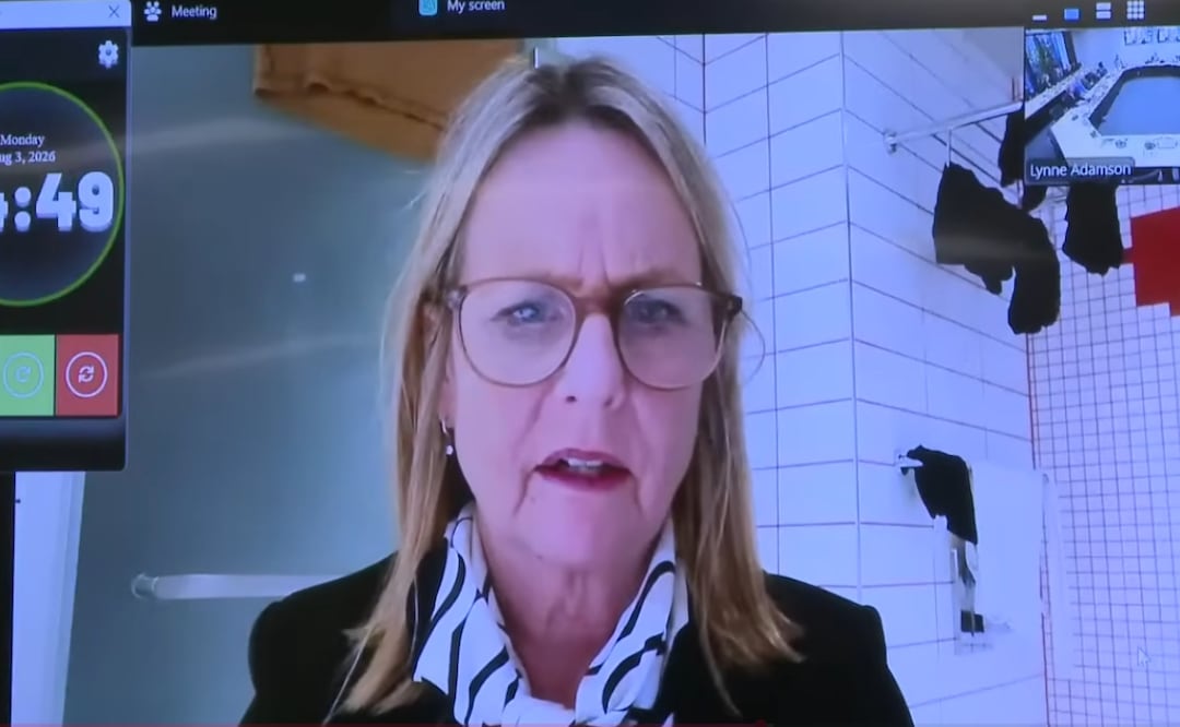 "Pueden ver mi ropa, no pasa nada": política de Nueva Zelanda se vuelve viral tras aparecer en su baño durante una reunión. Foto: Tomada Youtube @Dunedin City Council
