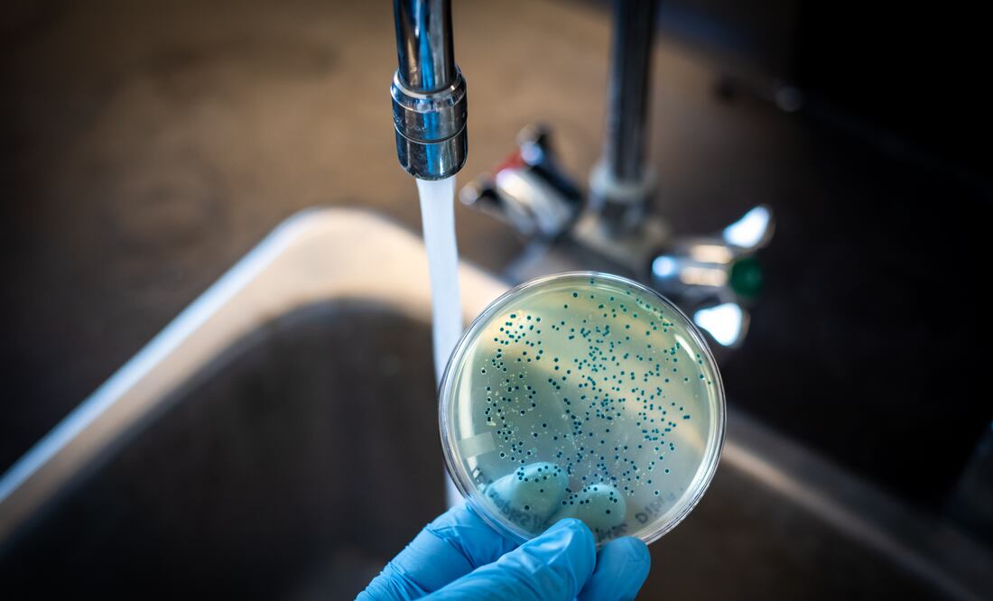 La OMS alerta de un resurgimiento de los casos globales de cólera. Foto iStock / Manjurul