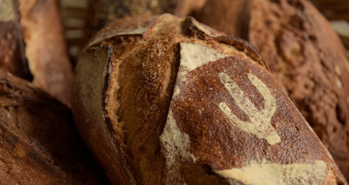 Arizona y la locura de su gastronomía, ¡conócela!
