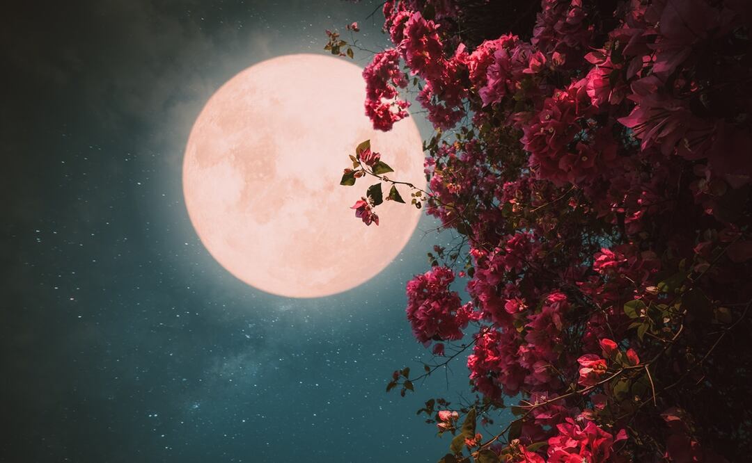 ¿Cómo y cuándo ver la Luna llena de Fresa? Foto: iStock-jakkapan21