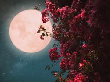 La Luna llena de Flores y el eclipse penumbral que sucederán al mismo tiempo, ¿cuándo y cómo verlos?