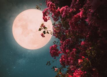La Luna llena de Flores y el eclipse penumbral que sucederán al mismo tiempo, ¿cuándo y cómo verlos?