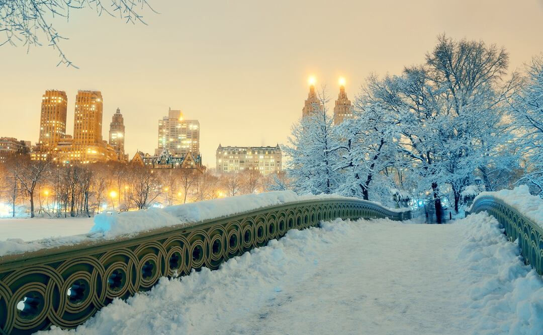 iStock/ rabbit75_ist