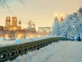 Hoteles en Nueva York tendrán descuentos del 23 % durante todo enero