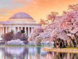 Viaja desde México: Razones por las que Washington DC debería ser tu próximo destino