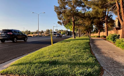 ¿Por qué Las Vegas quiere prohibir el césped en la ciudad?