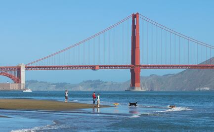 ¡Viaja con tu perrito! Hoteles, restaurantes y atracciones pet-friendly en San Francisco