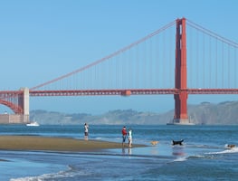 ¡Viaja con tu perrito! Hoteles, restaurantes y atracciones pet-friendly en San Francisco