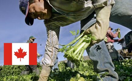 Así puedes validar que una oferta de trabajo en Canadá sea real