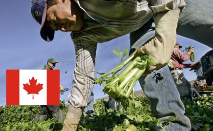 Así puedes validar que una oferta de trabajo en Canadá sea real