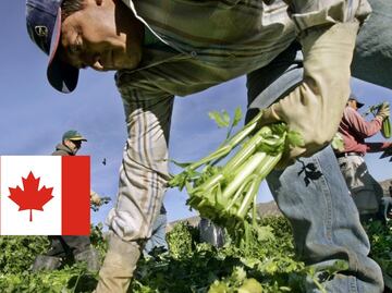 Así puedes validar que una oferta de trabajo en Canadá sea real