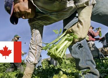 Así puedes validar que una oferta de trabajo en Canadá sea real