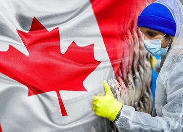Trabaja en Canadá 9 meses con esta vacante para mexicanos con prepa terminada