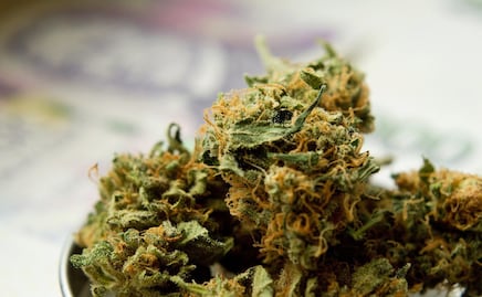 ¿Dónde es legal la marihuana en Estados Unidos? 5 claves para entender