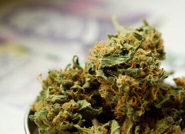 ¿Dónde es legal la marihuana en Estados Unidos? 5 claves para entender