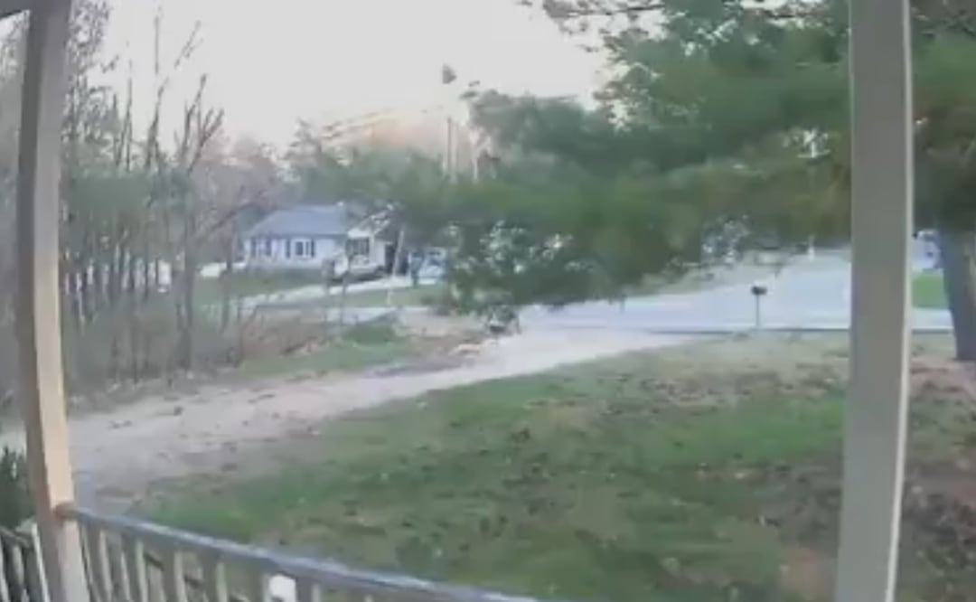 Foto: captura de pantalla