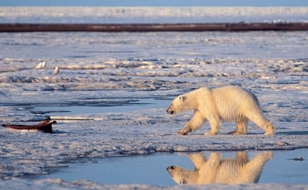 En 10 años se alcanzará el techo de calentamiento global: NASA