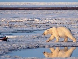 En 10 años se alcanzará el techo de calentamiento global: NASA