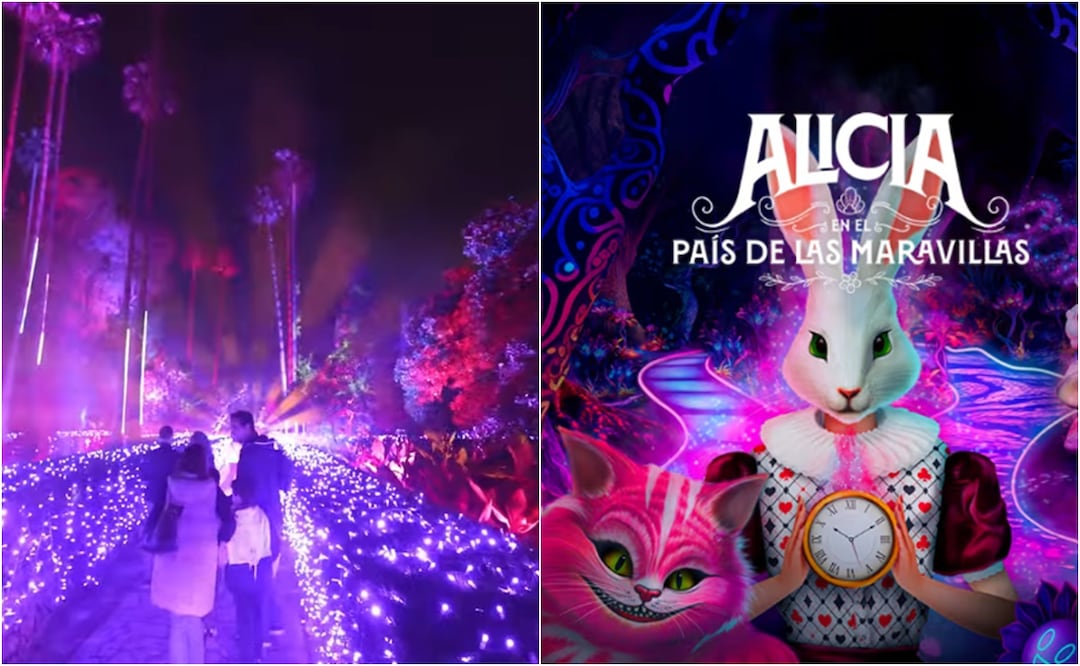 Alicia en el País de las Maravillas llega a CDMX con una experiencia inmersiva de luces y fantasía. Foto: Feverup