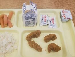 Padre se viraliza al denunciar la "ridícula comida" que da escuela de NY a estudiantes